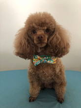 Load image into Gallery viewer, Seasonal Festive Christmas - Double Bow Tie Slip Over Collar - For Pets | Dogs and Cats